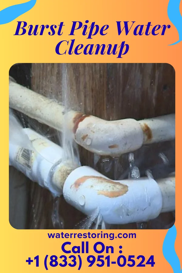 Burst Pipe Water Cleanup in Hazen, PA