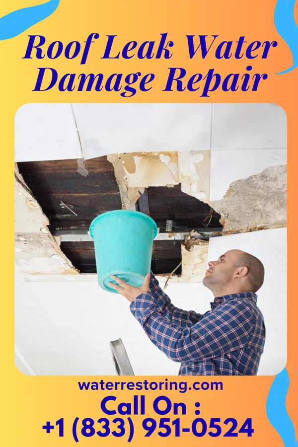 Roof Leak Water Damage Repair in Hazen, PA