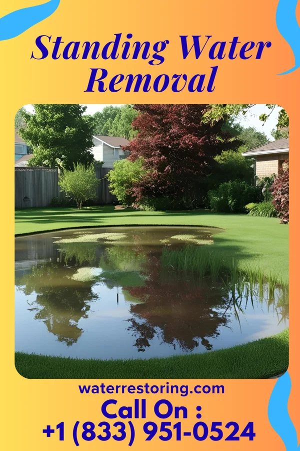 Standing Water Removal in Hazen, PA